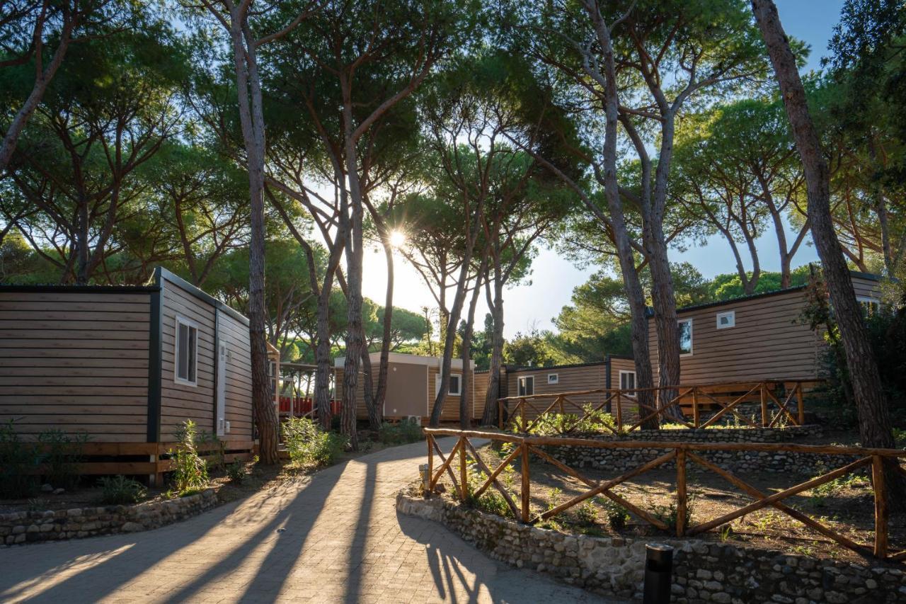 Camping Il Capannino Glamping Village Campsite Marina Di Bibbona